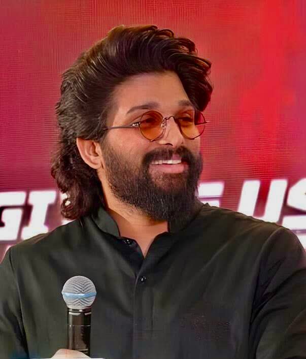 Allu Arjun net worth 2026