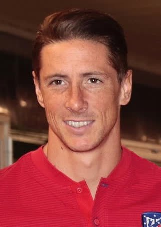 Fernando Torres net worth 2026