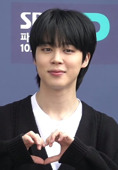 Jimin net worth 2026