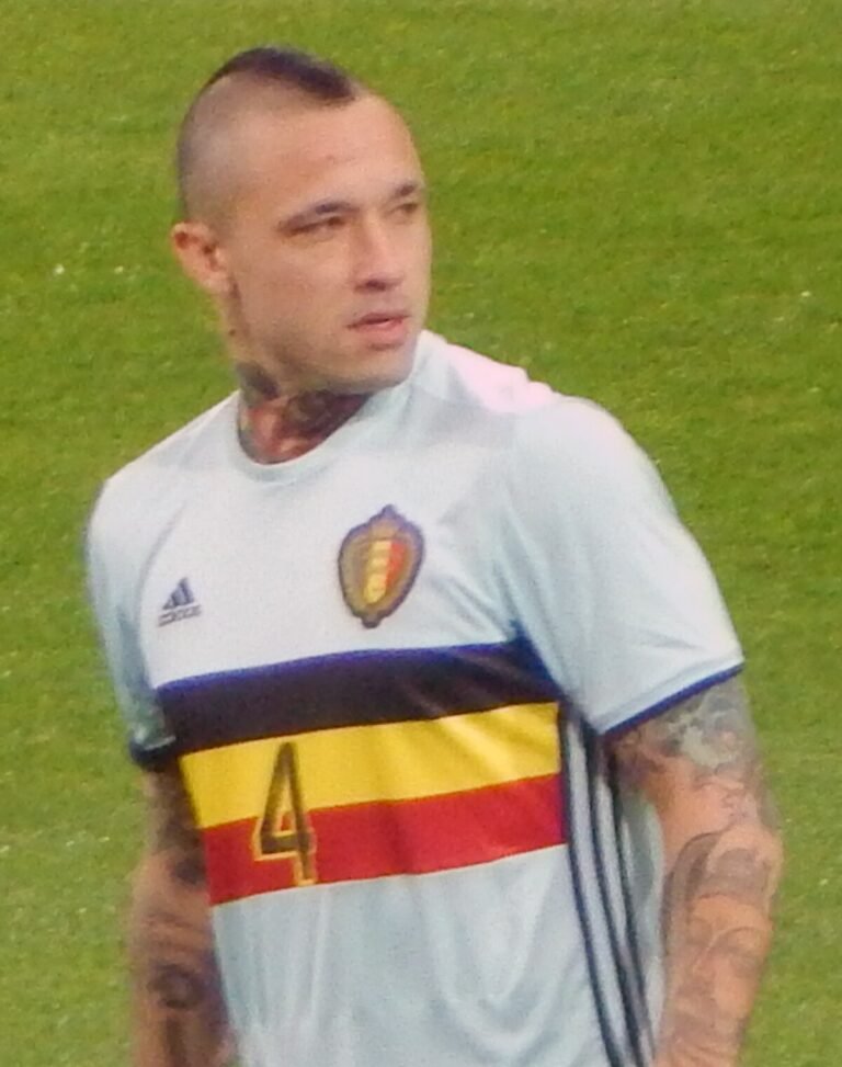 Radja Nainggolan net worth 2026