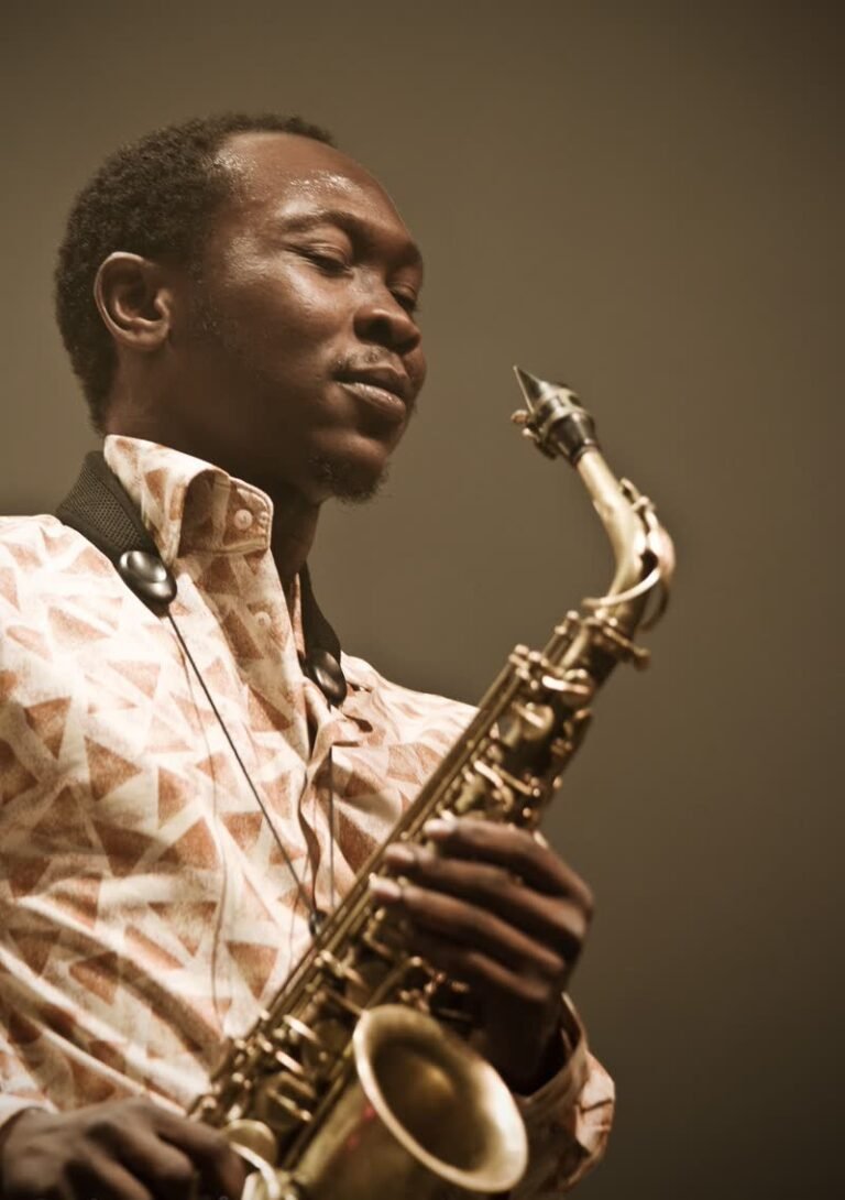Seun Kuti net worth 2026