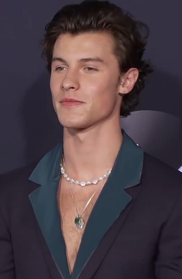 Shawn Mendes net worth 2026