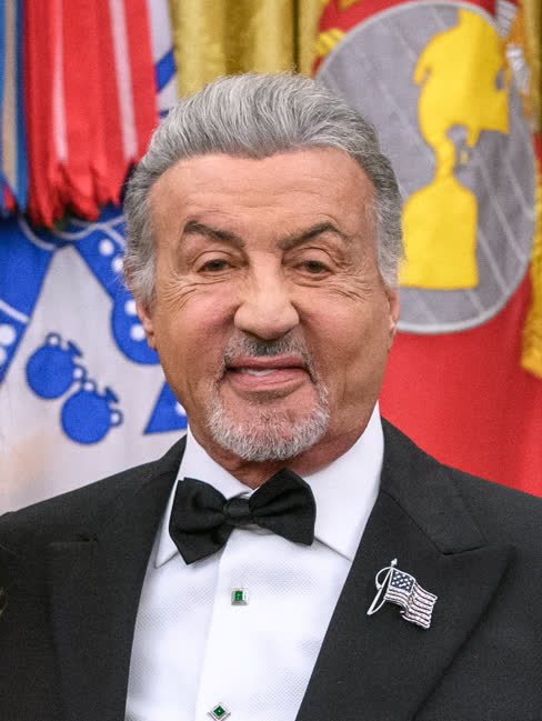 Sophia Stallone net worth 2026